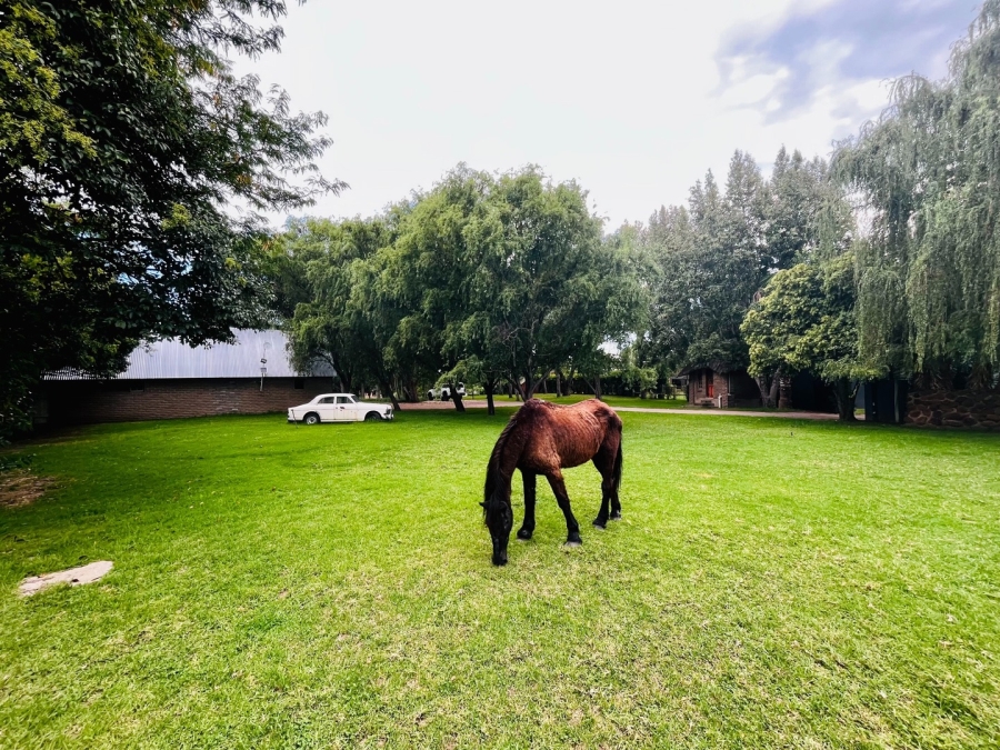 3 Bedroom Property for Sale in Maselspoort Free State